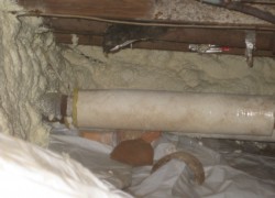 Morehouse basement crawl space