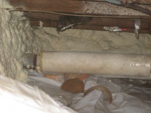 spray foam crawl space